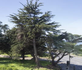Seal Rock Inn - Room 204 - window view 2