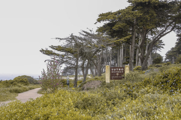 Sutro District Seal Rock Inn